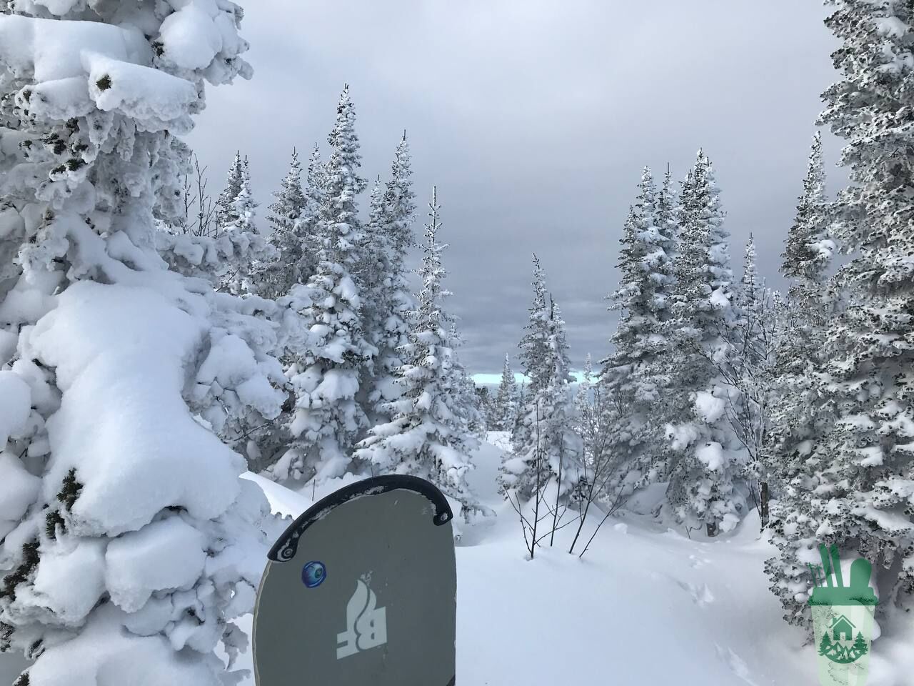 Минприроды потратит 51 тысячу рублей на поиск ручья в Шерегеше