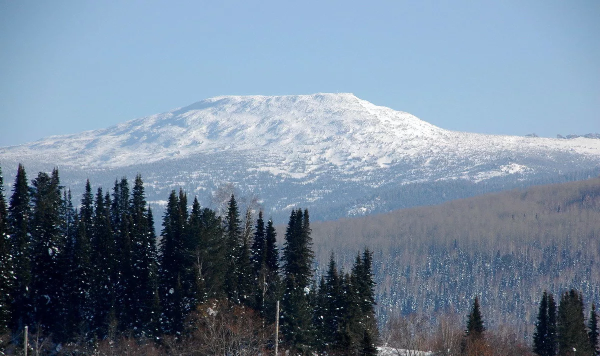 Обращение шорцев в общественную палату Российской Федерации